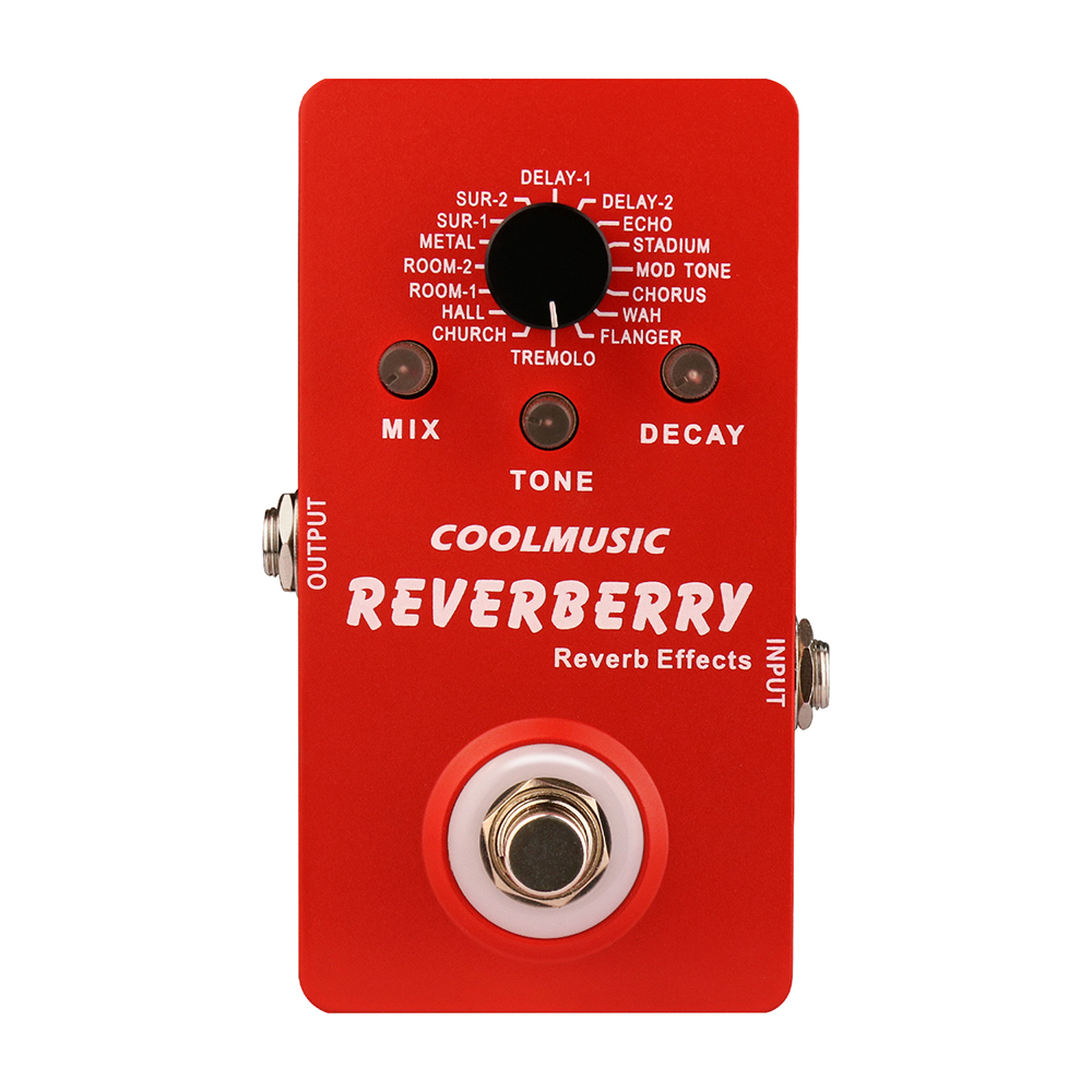 Coolmusic New Digital Reverb P - Musical Instrument Amplifier review and price