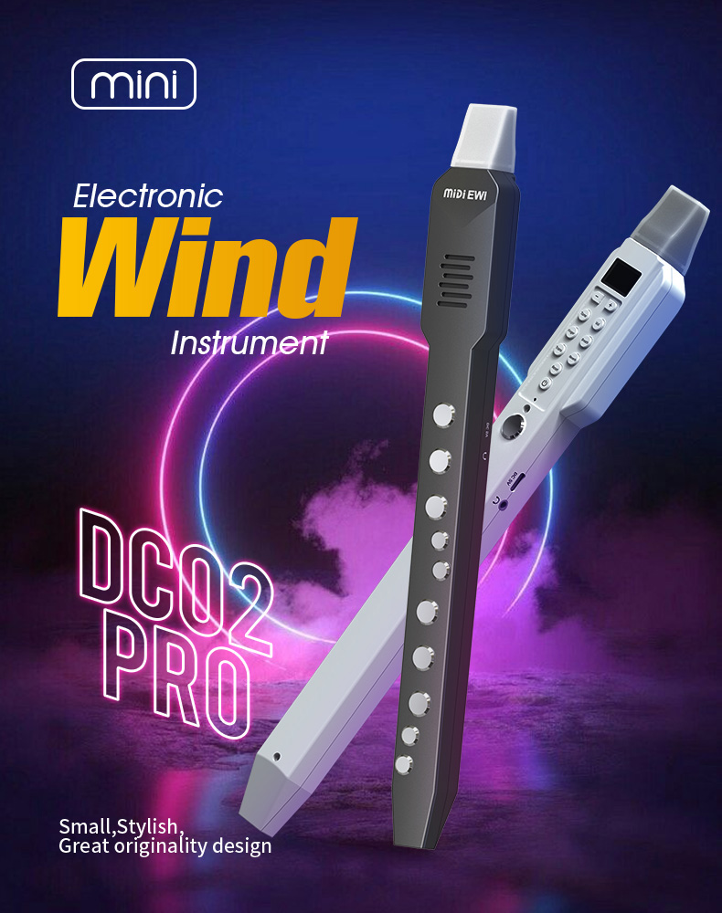 upgrade Mini Digital Electroni - Musical Instrument Lute review and price
