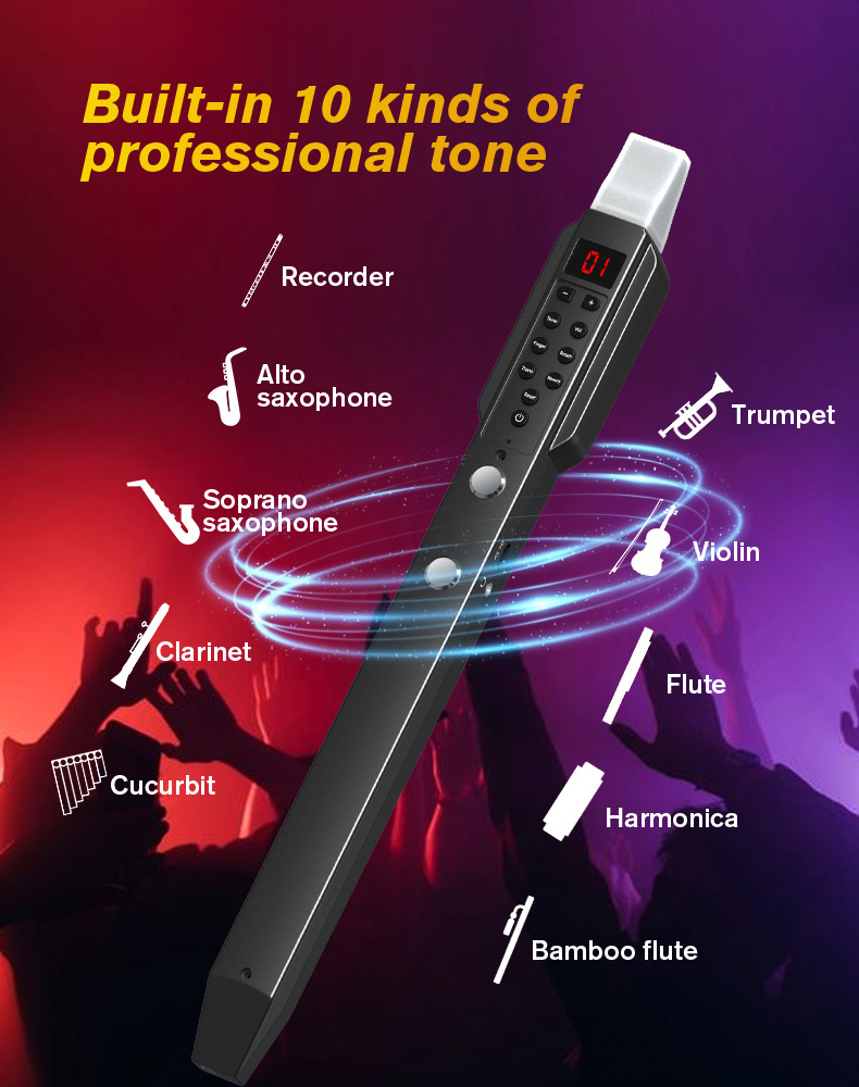 upgrade Mini Digital Electroni - Musical Instrument Lute review and price