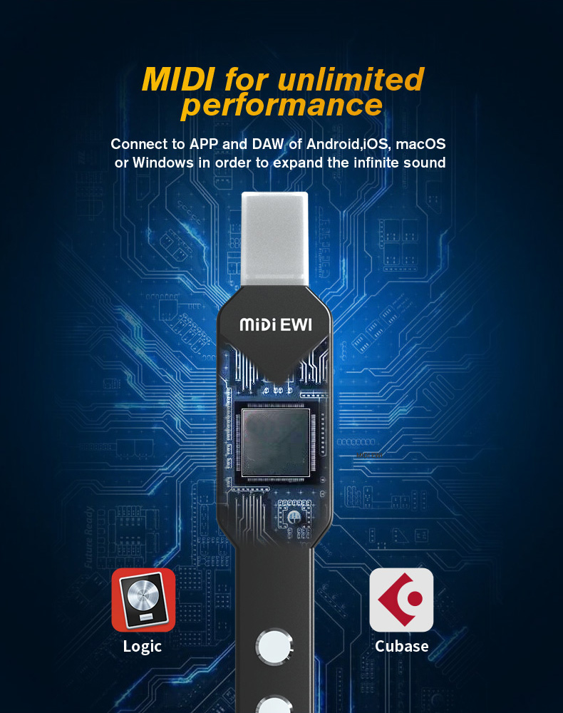 upgrade Mini Digital Electroni - Musical Instrument Lute review and price
