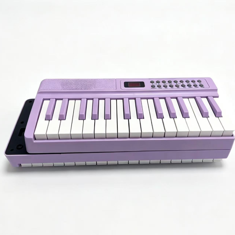 61-Key Portable Digital Piano  - Musical Instrument Of Keyboard review and price