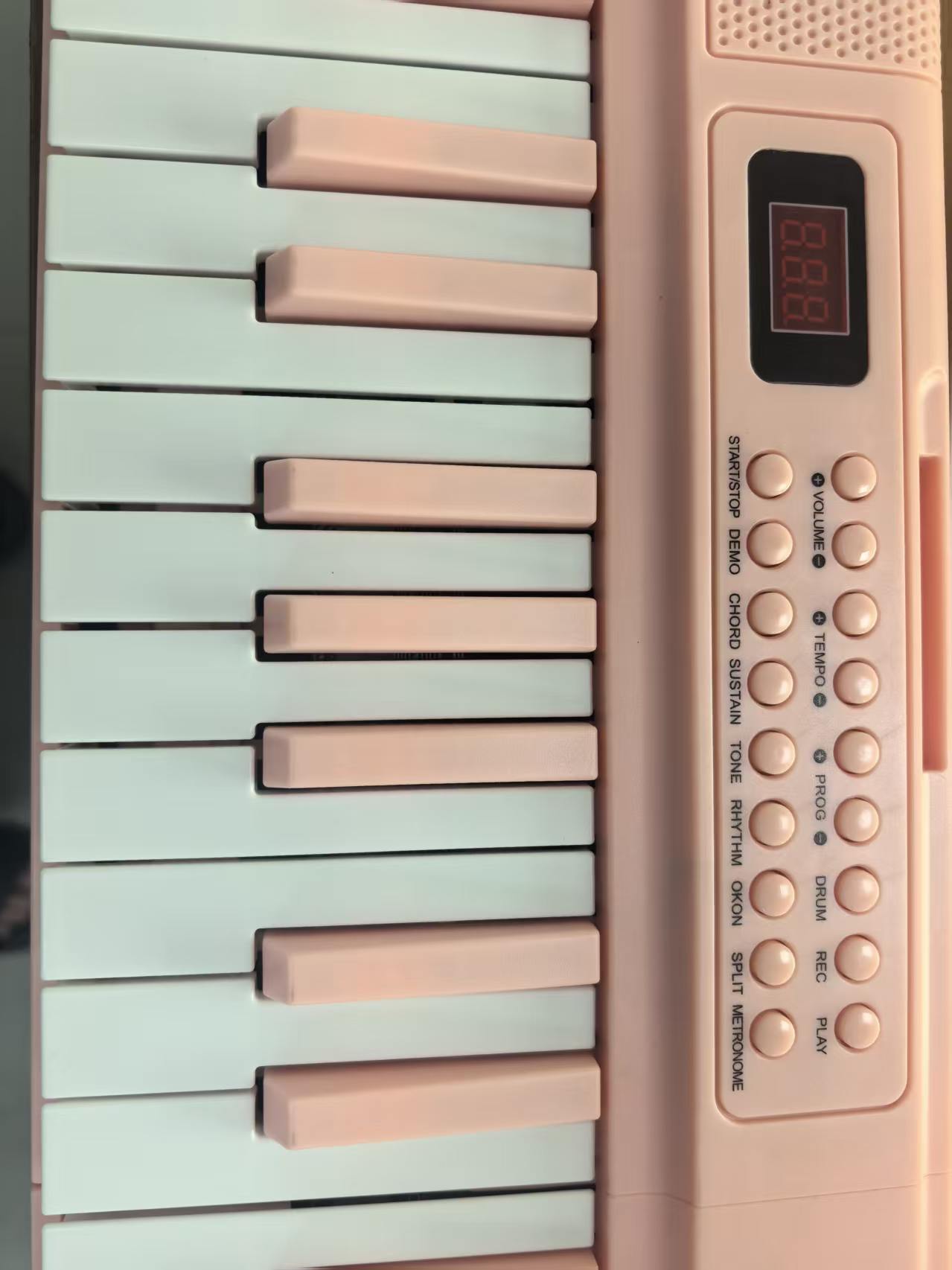 61-Key Portable Digital Piano  - Musical Instrument Of Keyboard review and price