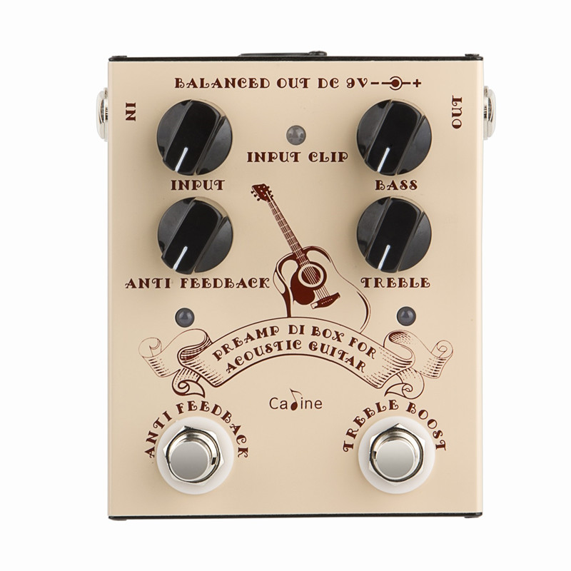 Caline CP-40 Acoustic Guitar E - Musical Instrument Amplifier review and price