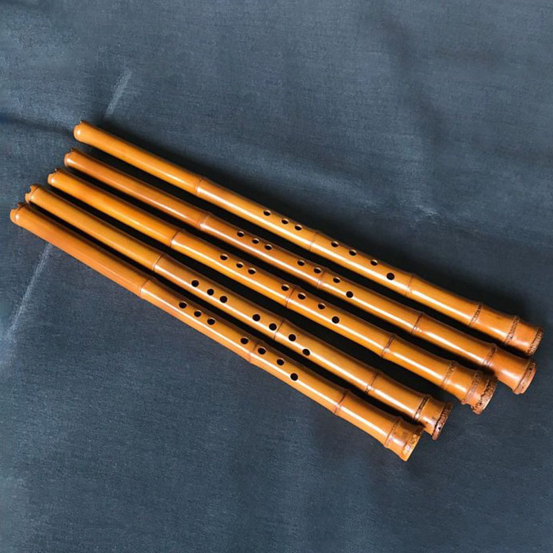 8 Hole Bamboo Xiao Performance - Musical Instrument In Chinese review and price
