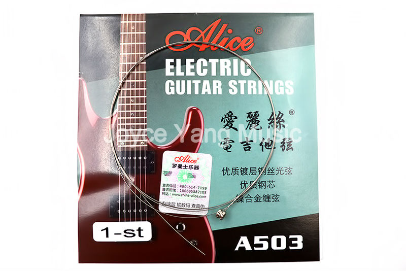 10 Pack Alice A503-009/010 in. - Charango 10 String review and price